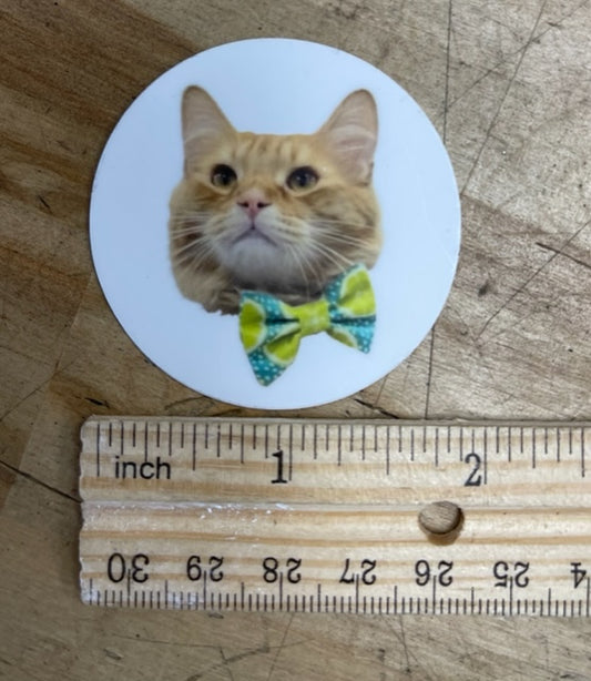 Handsome Bigfoot Sticker