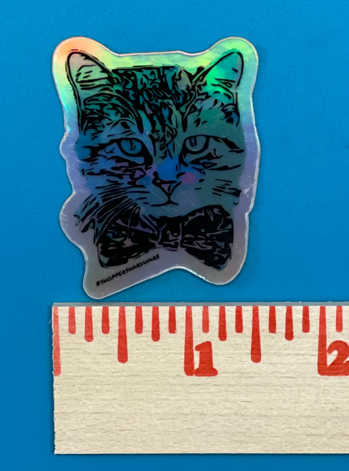 Hologram Daniel